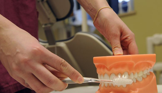 Healthy Oral Hygiene: A Quick Guide To Denture Care Healthy Oral Hygiene: A Quick Guide To Denture Care